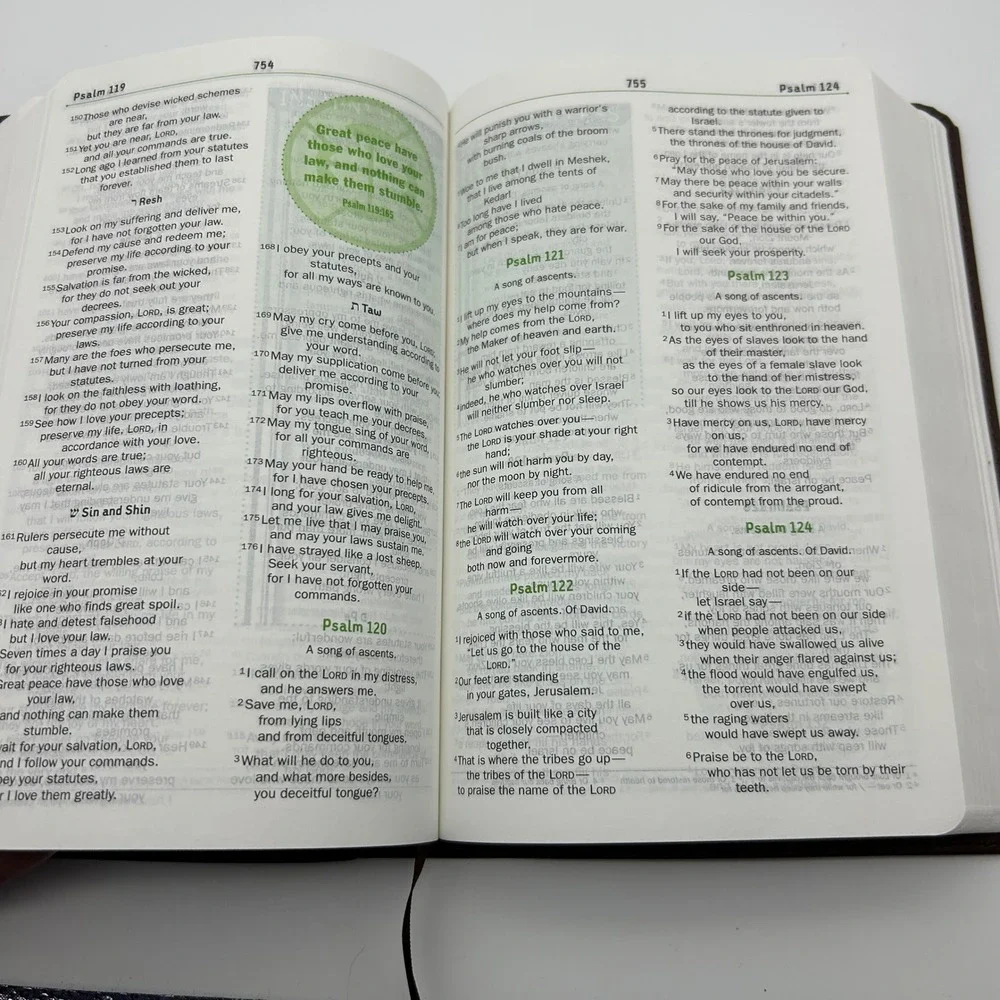 NIV‎ Teen Study Bible Zondervan Brown Leathersoft New International Version